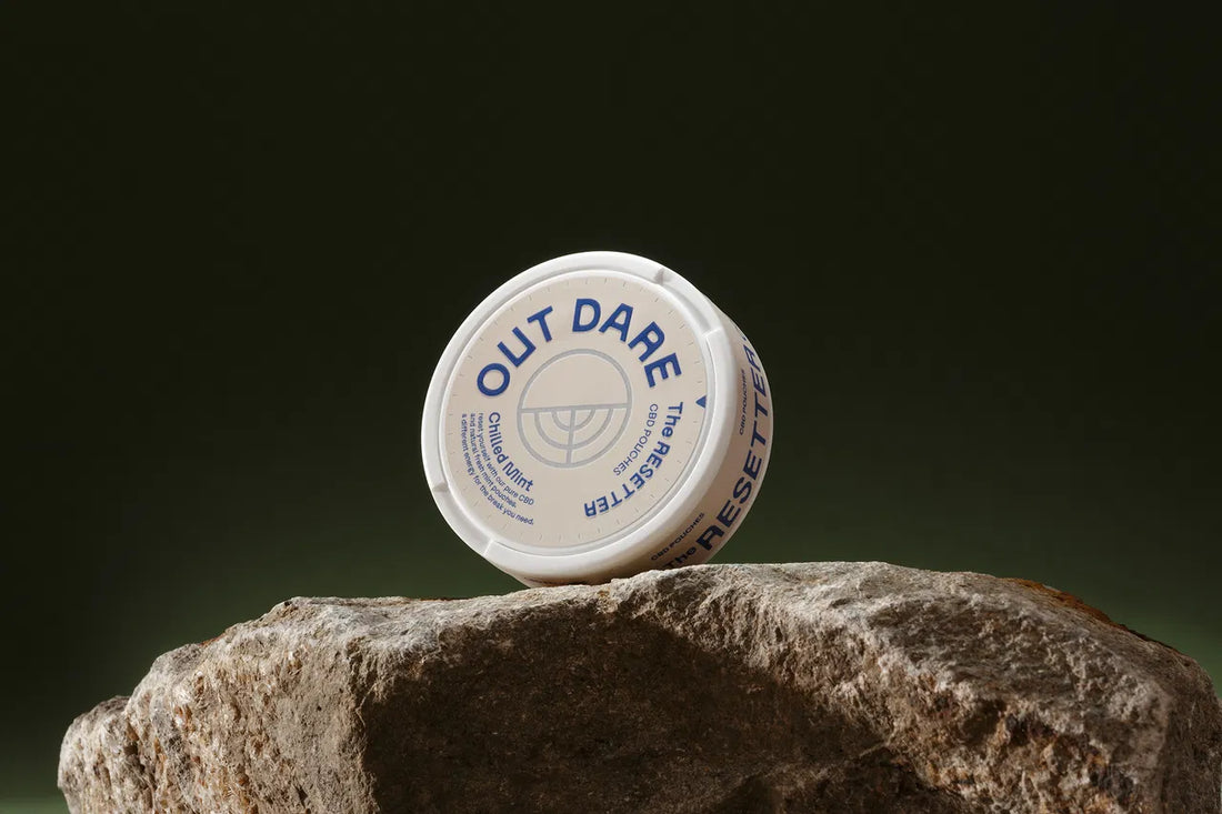 Best CBD Pouches 2025