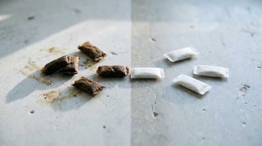 Dark brown snus portions beside clean white nicotine pouches on a pale stone counter